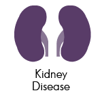 kidney disease icon