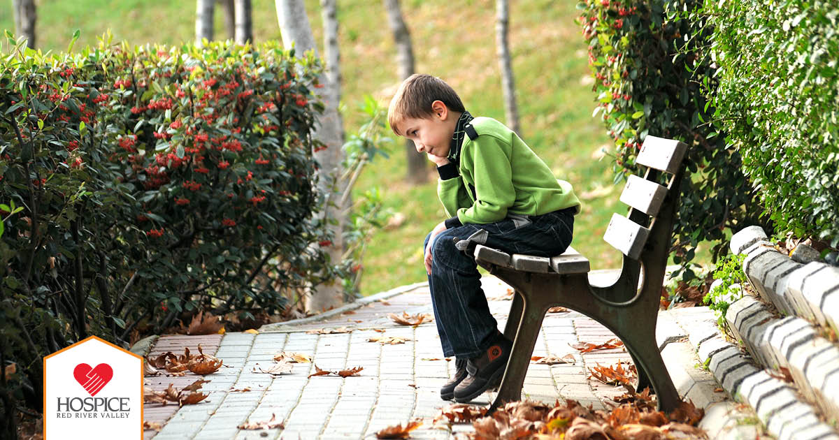 When Young People Experience Grief Hospice of the Red 