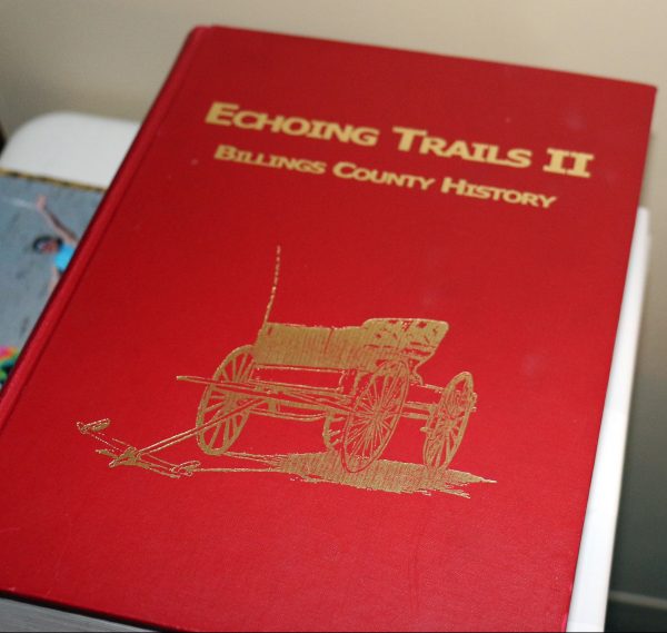 Echoing Trails II book