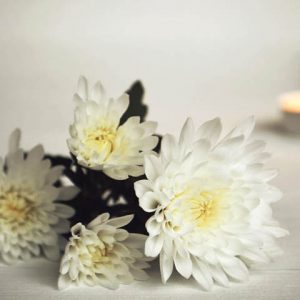 white mum flowers with burning candle in background