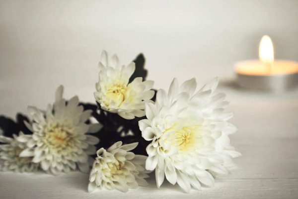 white mum flowers with burning candle in background